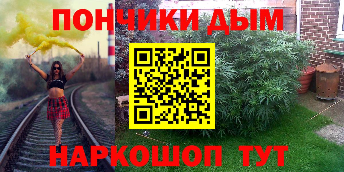 Канабис сатива Иваново